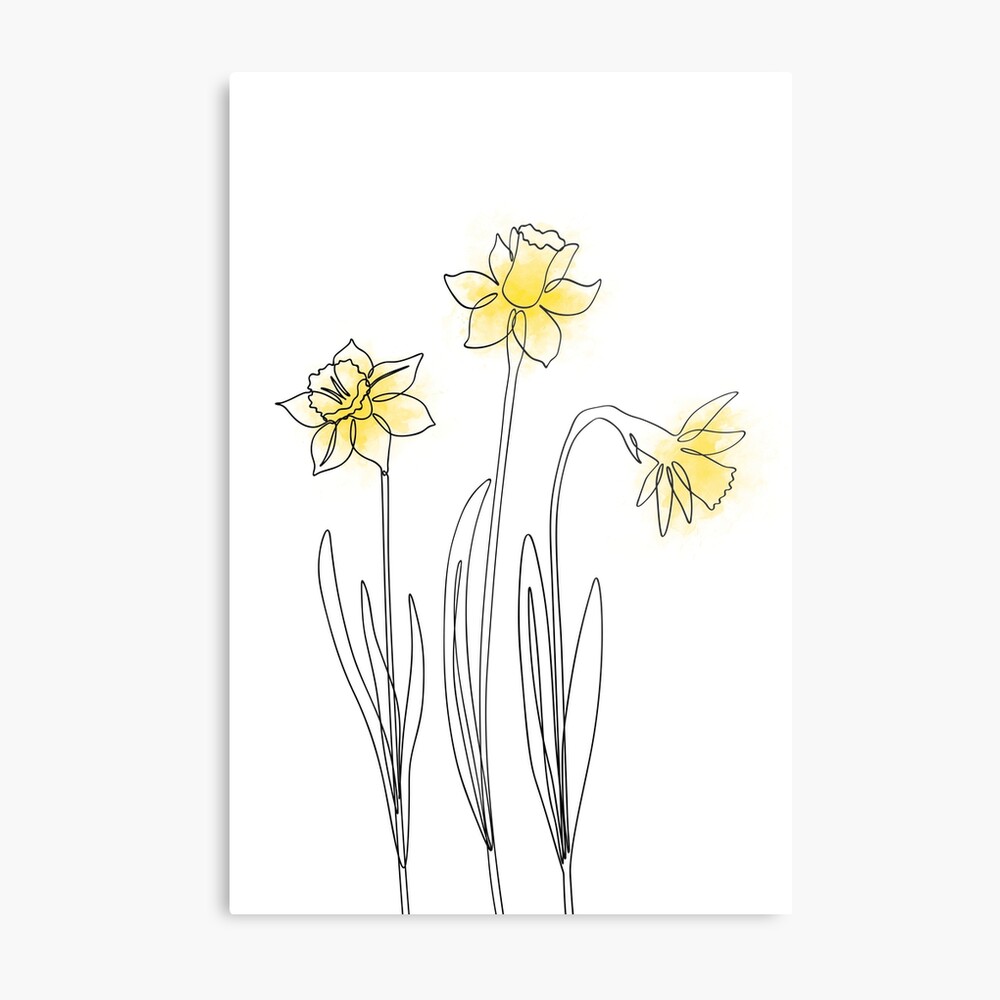 Daffodil Line Art Cliparts, Stock Vector and Royalty Free Daffodil Line Art  Illustrations