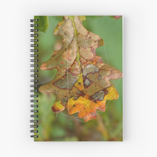 Item preview, Patchwork Leaf designed and sold by relayer51.