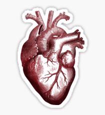 big heart shirt. Sticker