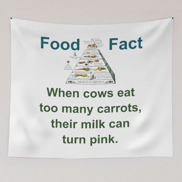 Item preview, When Cows Eat Too Many Carrots - Food Fact designed and sold by CrankyOldDude.