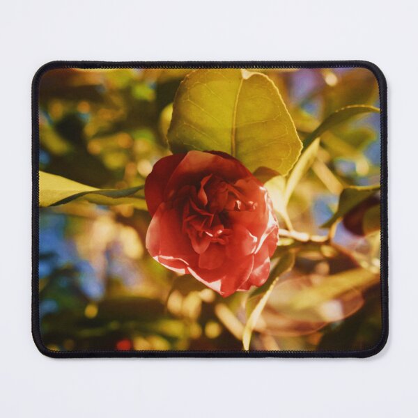 Item preview, Hidden Treasure designed and sold by Melanie Uadjit.