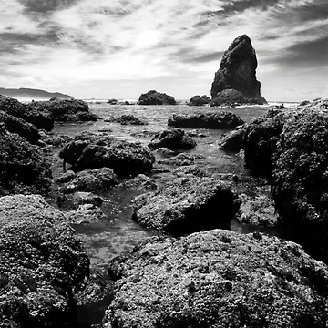 Artwork thumbnail, Haystack Droppings by Magick Hour Studios