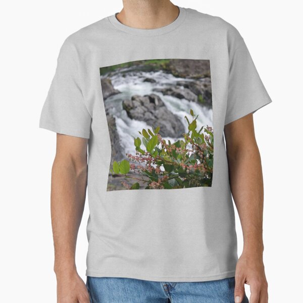 Item preview, Lucia Salal designed and sold by VikingVisual.