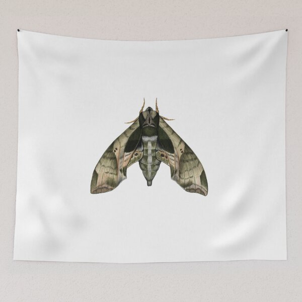 Item preview, Pandora Sphinx (Eumorpha pandorus) designed and sold by JadaFitch.
