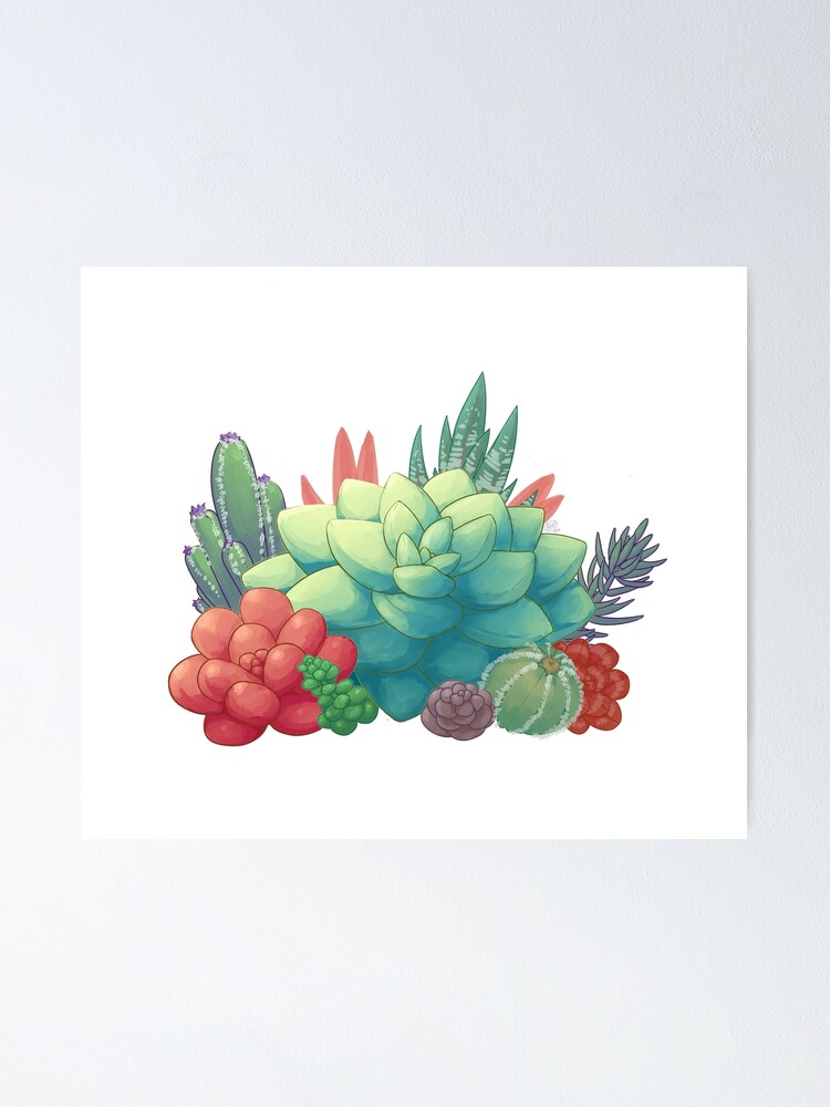 "Succulents" Poster by annahart123 Redbubble