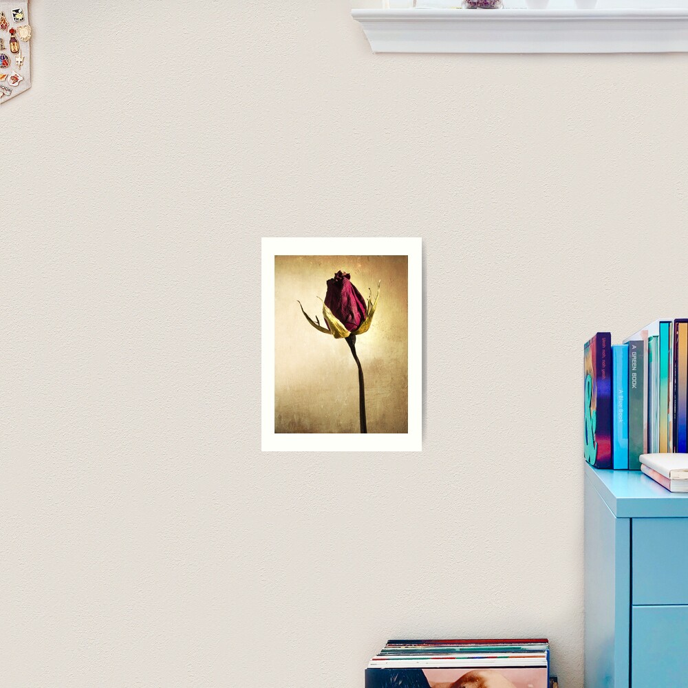 Rose Art Print