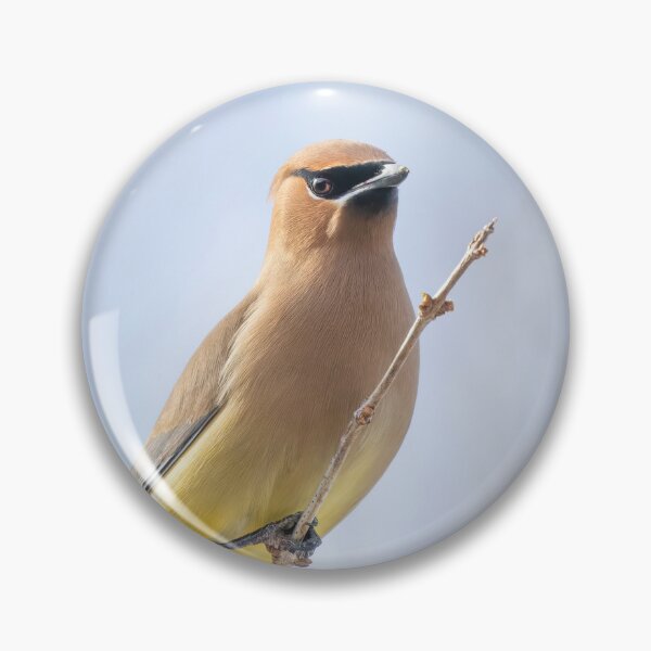 Item preview, Cedar Waxwing designed and sold by James Cumming.
