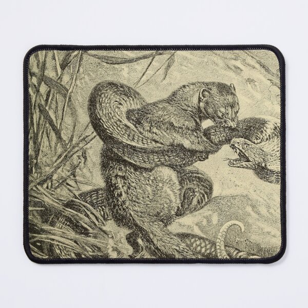 Item preview, mongoose designed and sold by Sameart ⭐⭐⭐⭐⭐.