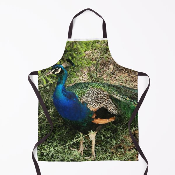 Item preview, Wild Australian Peacock in Phillip Island  designed and sold by Michael Voyler.