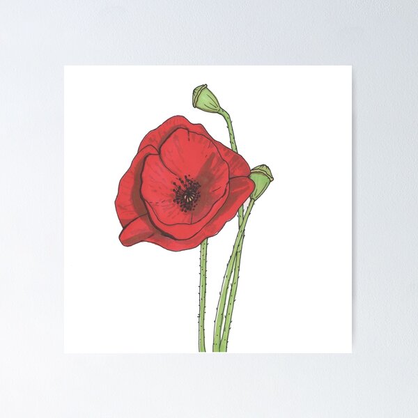 Item preview, Poppy designed and sold by craftycatuk.