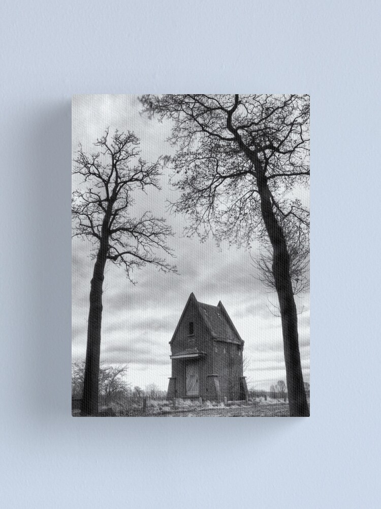 Alternate view of Rtt b&w Canvas Print