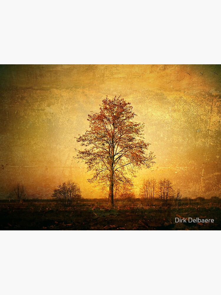 Lonely Tree by Delbaere