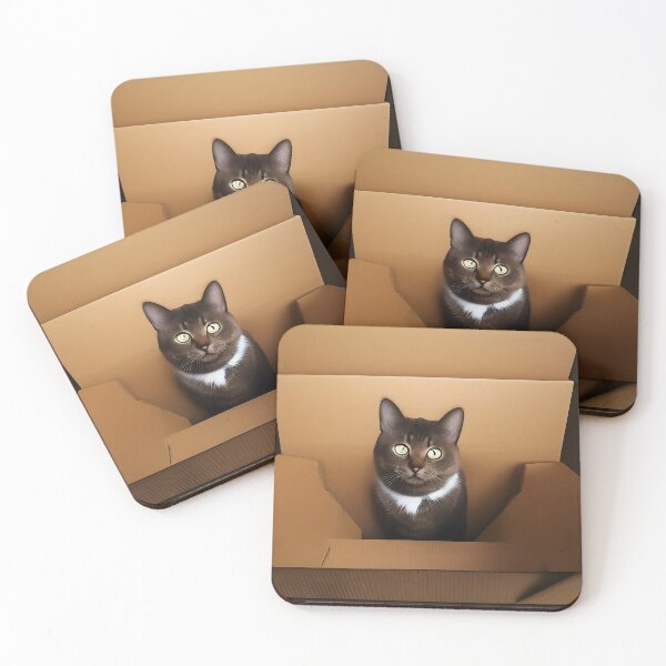 Item preview, Cat in the box designed and sold by Steeshirts.