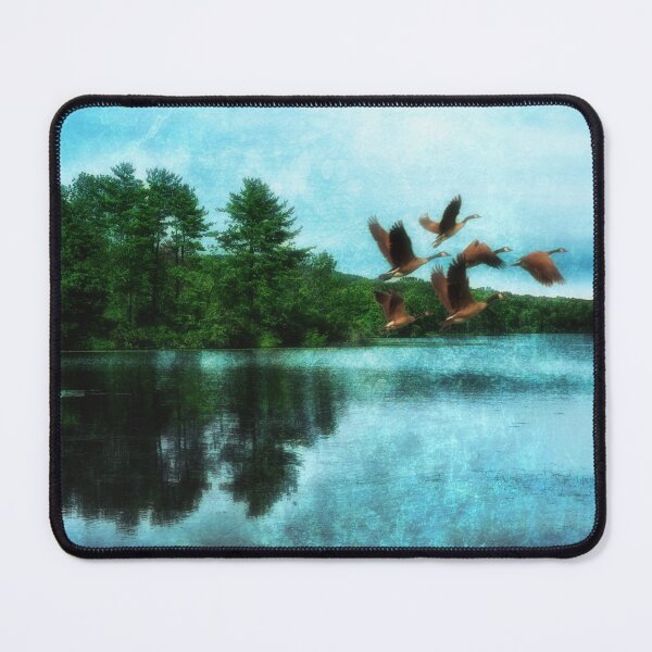 Item preview, Takeoff designed and sold by James DeFazio.