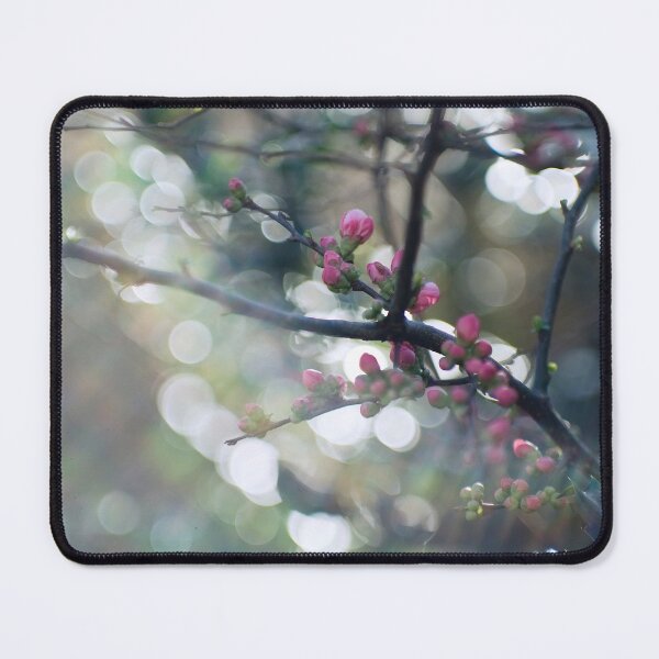 Item preview, Blossom and bokeh designed and sold by gailgriggs.
