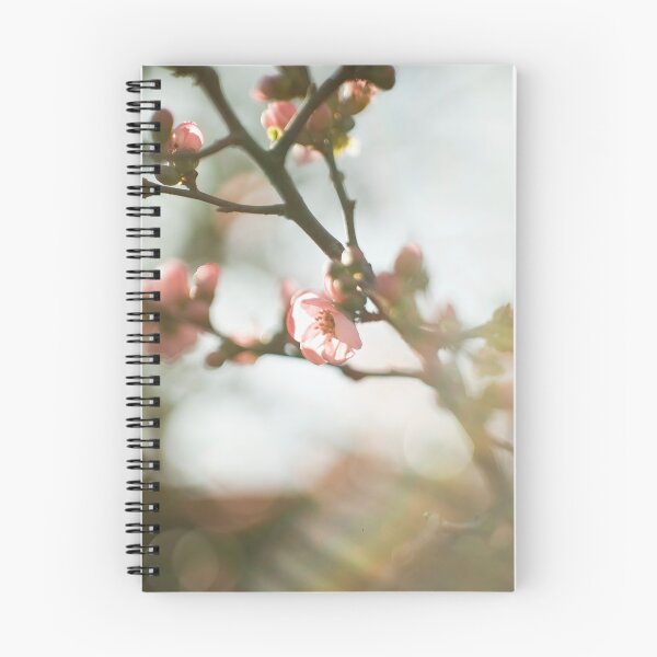 Item preview, Vintage blossom designed and sold by gailgriggs.