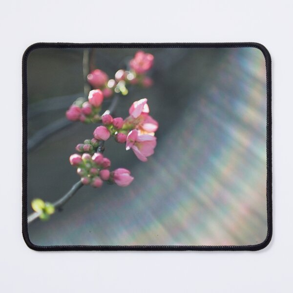 Item preview, Rainbow and pink blossom designed and sold by gailgriggs.