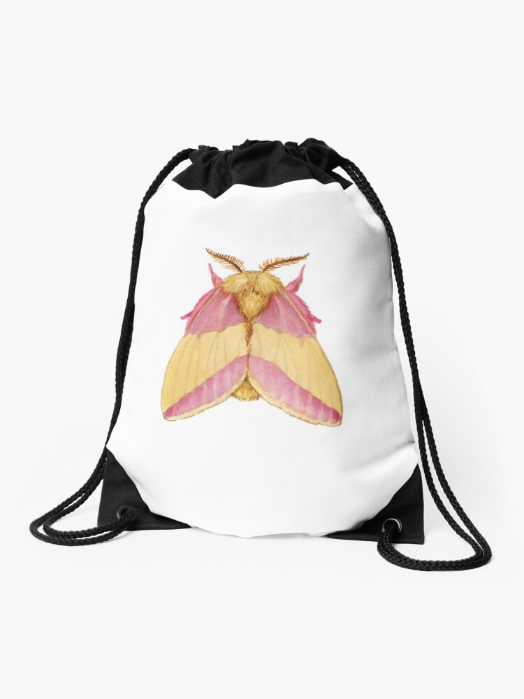 Rosy Maple Moth Art Print by Jada Fitch