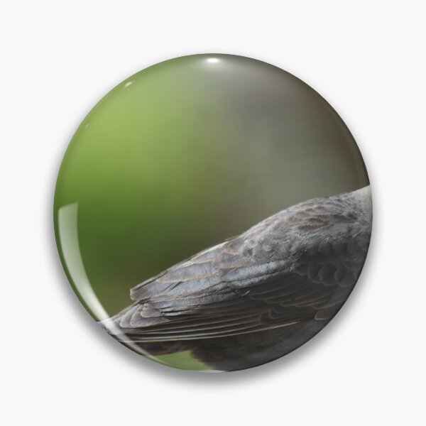 Item preview, A bird at the garden feeder designed and sold by Claude Laprise.