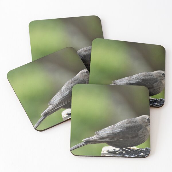 Item preview, A bird at the garden feeder designed and sold by Claude Laprise.