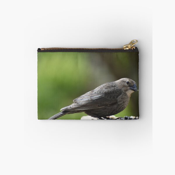 Item preview, A bird at the garden feeder designed and sold by Claude Laprise.