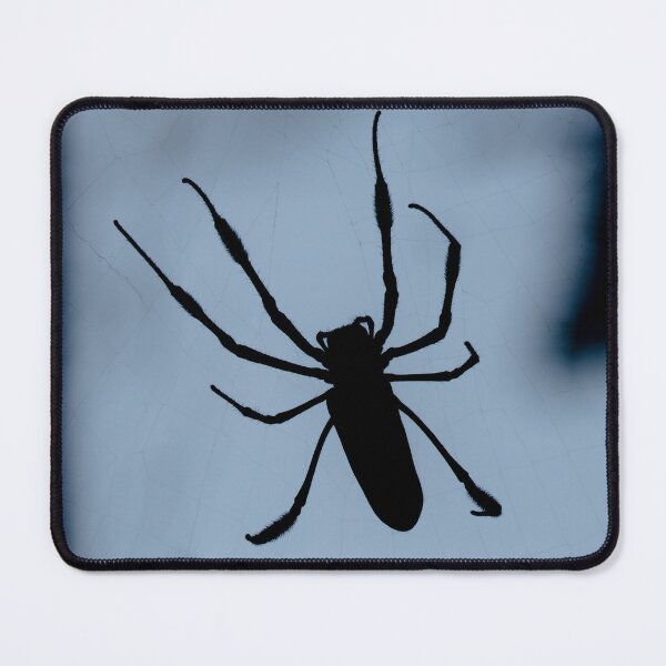 Item preview, A Spider in Silhouette  designed and sold by KEnzPhotography.