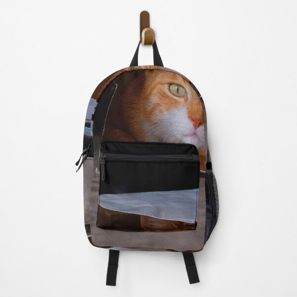 Item preview, Red cat hiding in bag designed and sold by Photopat.