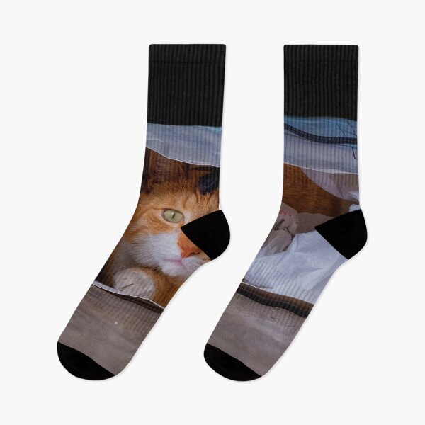 Item preview, Red cat hiding in bag designed and sold by Photopat.