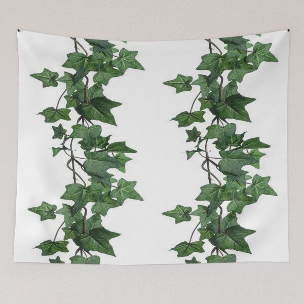 Item preview, GREEN TRAILING IVY ART, IVY DESIGN GARDEN WHITE ART designed and sold by sharlesart.