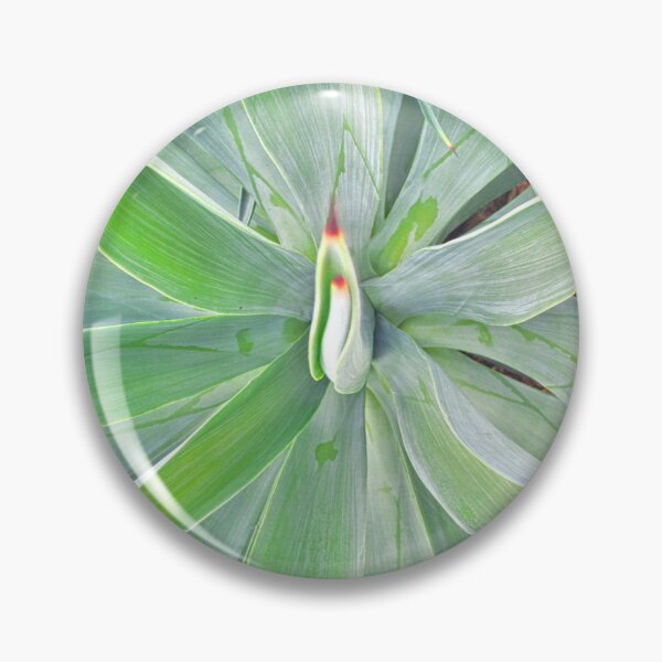 Item preview, Looking Down A Yucca designed and sold by LisaWootenPhoto.