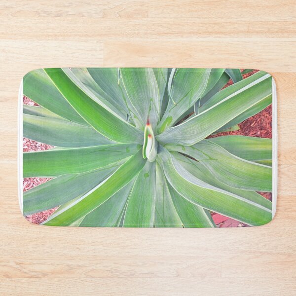 Item preview, Looking Down A Yucca designed and sold by LisaWootenPhoto.