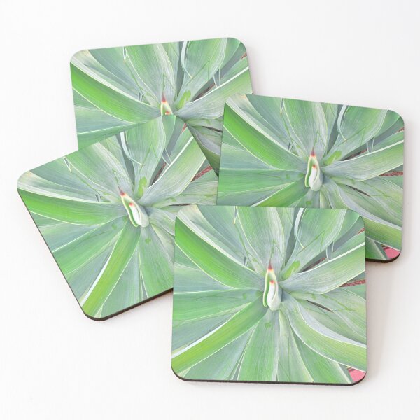 Item preview, Looking Down A Yucca designed and sold by LisaWootenPhoto.