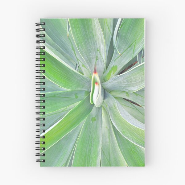 Item preview, Looking Down A Yucca designed and sold by LisaWootenPhoto.