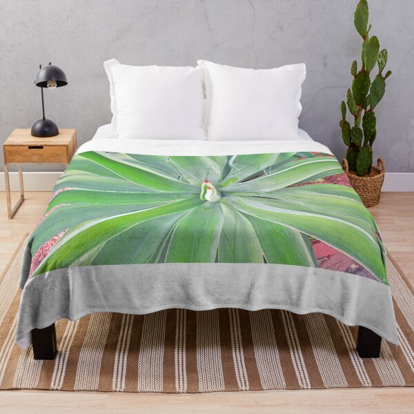 Item preview, Looking Down A Yucca designed and sold by LisaWootenPhoto.