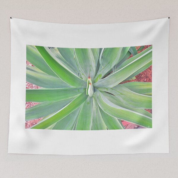 Item preview, Looking Down A Yucca designed and sold by LisaWootenPhoto.