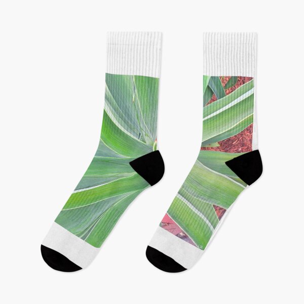 Item preview, Looking Down A Yucca designed and sold by LisaWootenPhoto.
