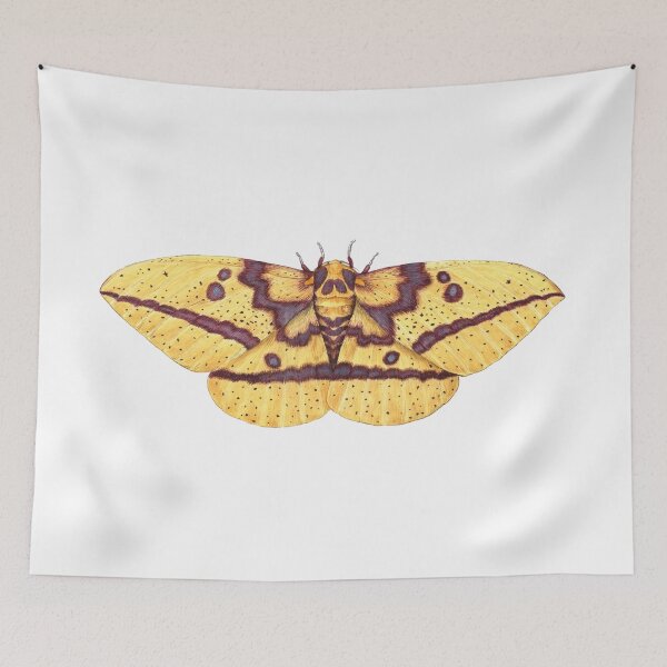 Item preview,  Imperial Moth (Eacles imperialis). designed and sold by JadaFitch.