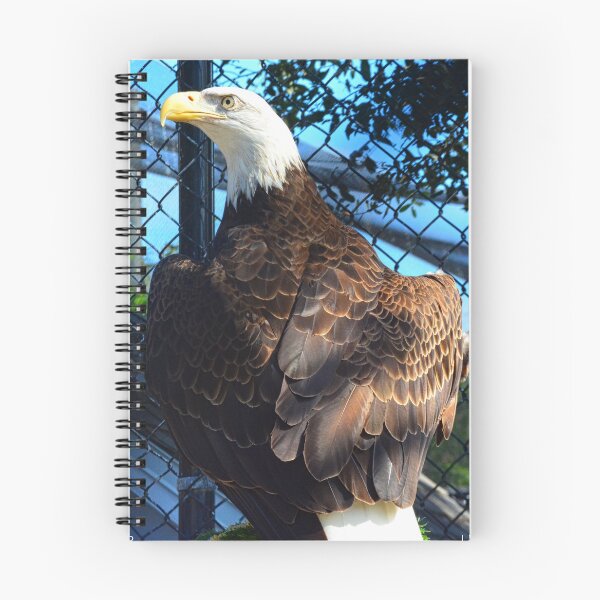Item preview, American Bald Eagle Close up Vertical designed and sold by LisaWootenPhoto.