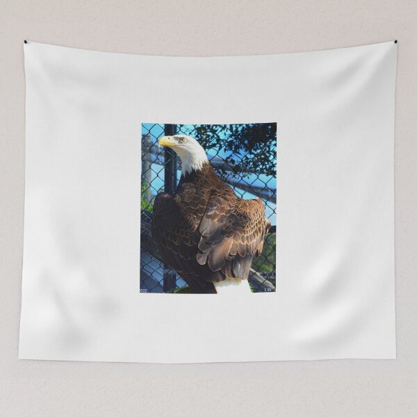 Item preview, American Bald Eagle Close up Vertical designed and sold by LisaWootenPhoto.