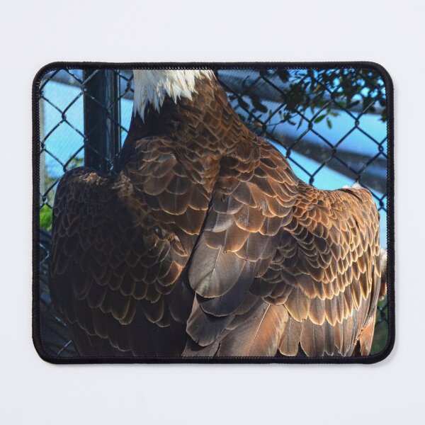 Item preview, American Bald Eagle Close up Vertical designed and sold by LisaWootenPhoto.