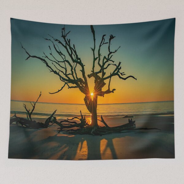 Aperçu de l'œuvre Jekyll Sunrise créée et vendue par Craig Kauzmann.
