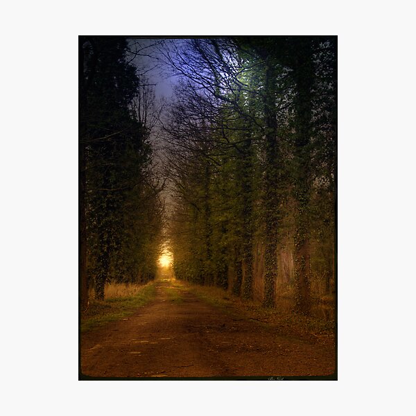Path; Light Photographic Print