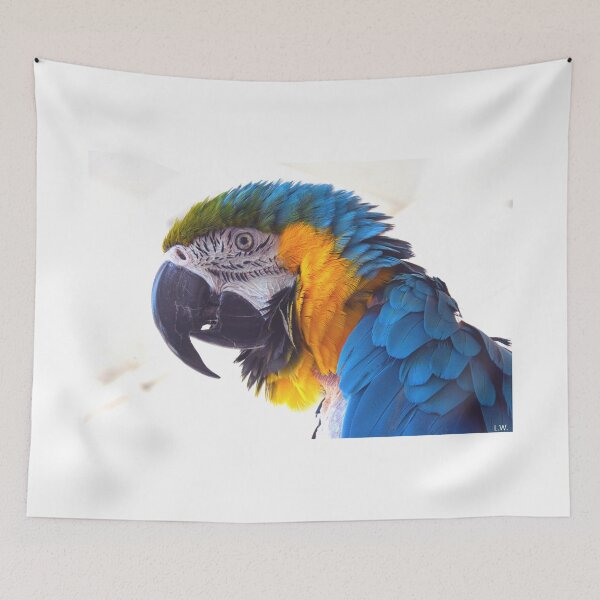 Item preview, Blue And Yellow Macaw designed and sold by LisaWootenPhoto.