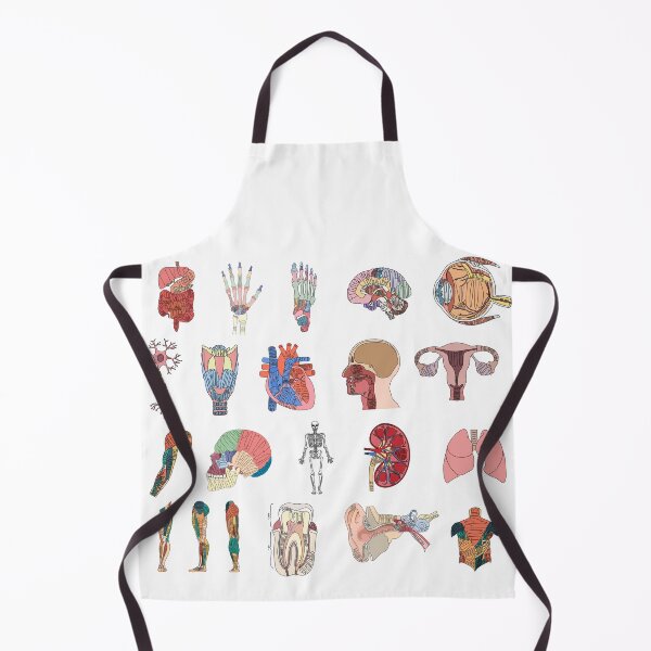 Item preview, Labeled Anatomy Organs, Muscles, and Bones Pack  designed and sold by Katherine Winner.