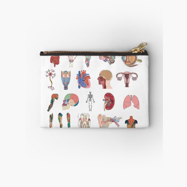 Item preview, Labeled Anatomy Organs, Muscles, and Bones Pack  designed and sold by Katherine Winner.
