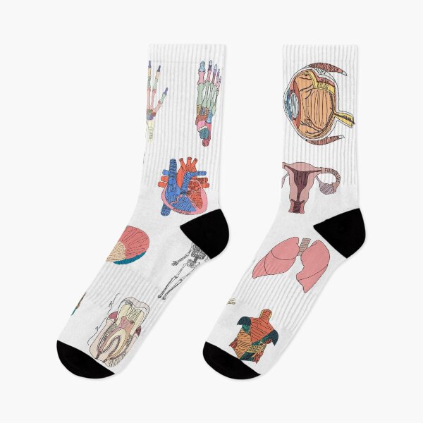 Item preview, Labeled Anatomy Organs, Muscles, and Bones Pack  designed and sold by Katherine Winner.