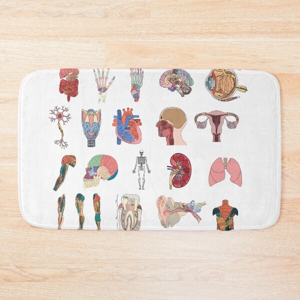 Item preview, Labeled Anatomy Organs, Muscles, and Bones Pack designed and sold by Katherine Winner.