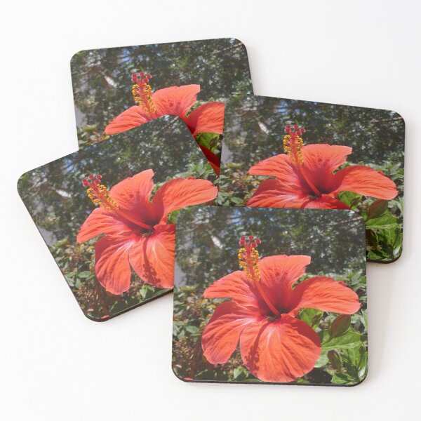 Item preview, Red Hibiscus designed and sold by Vicki Spindler (VHS Photography).