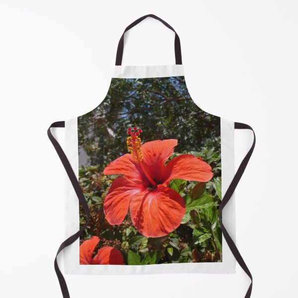 Item preview, Red Hibiscus designed and sold by Vicki Spindler (VHS Photography).