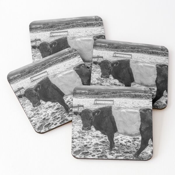 Item preview, Belted Galloway in the Snow designed and sold by derekbeattie.